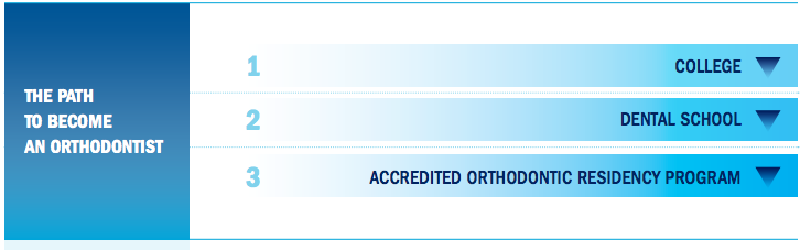 orthodontist education credentials